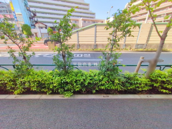 nOώʐ^@-