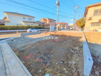 ���n�y�n�ʐ^�@-