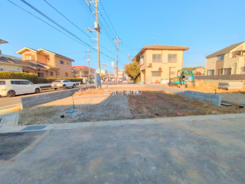 ���n�y�n�ʐ^�@-