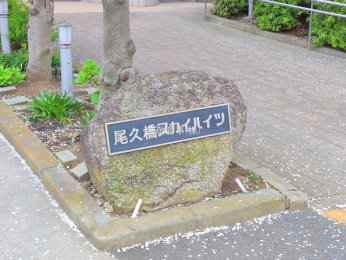 �G���g�����X�@-