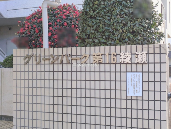 �G���g�����X�@-