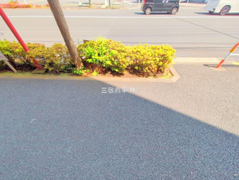 ���n�O�ώʐ^�@-