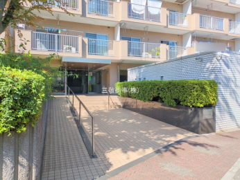 �G���g�����X�@-