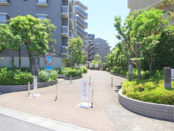 �G���g�����X�@-