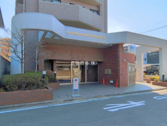 �G���g�����X�@-