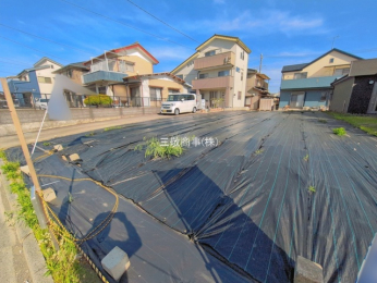 ���n�y�n�ʐ^�@-