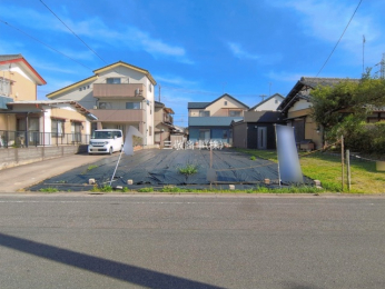 ���n�y�n�ʐ^�@-